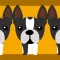 4 Dogs