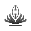 CFpedia College Football Stats