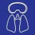 Dive Hard Freediving Trainer