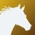 Horse Riding Tracker & Journal