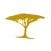 Acacia Collections