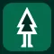 Forest - eBike Sharing