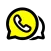 Dou Line