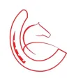 The Shoeing Lab Ltd