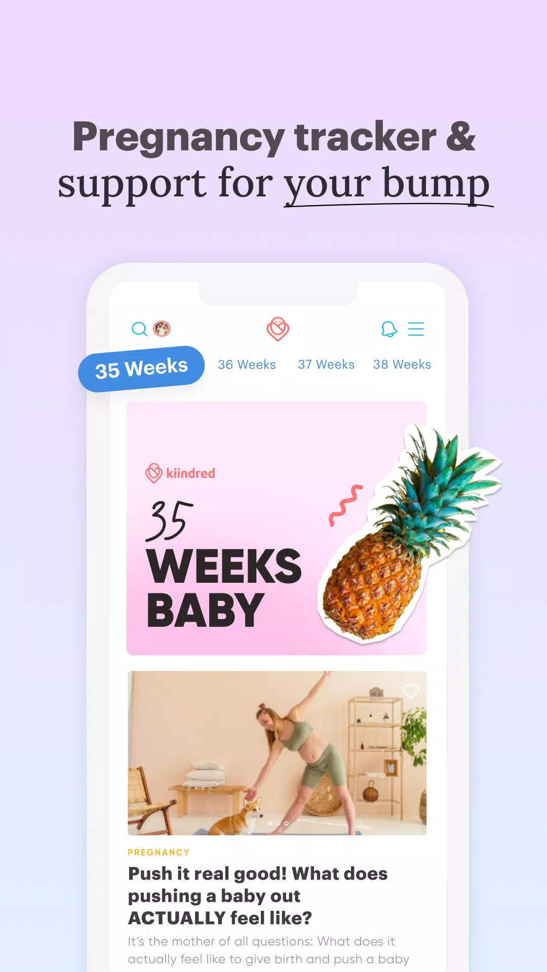 Pregnancy and Baby : Kiindred Screenshots