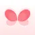 LadyFly