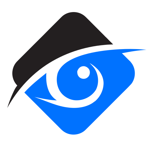 Remote Surveillance Camera