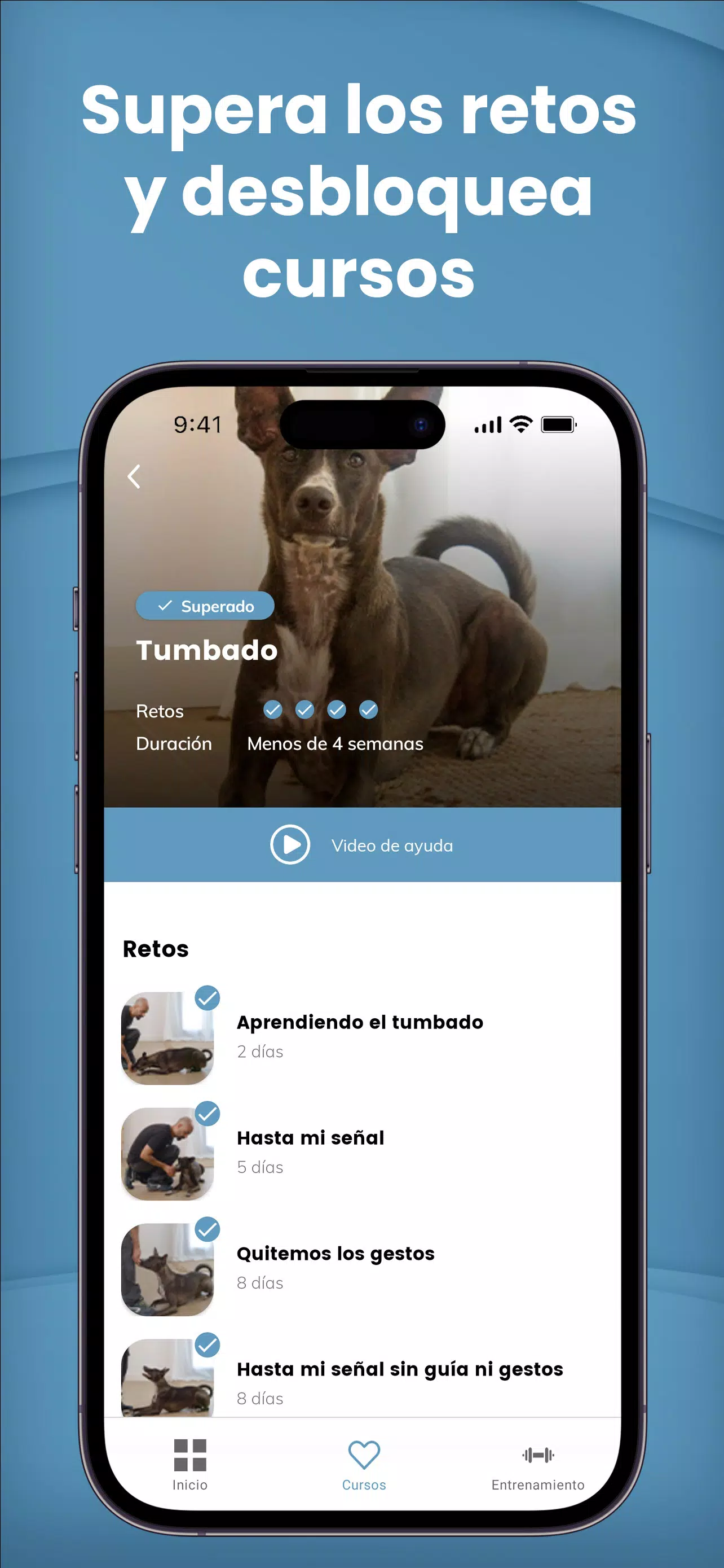 Mister Cooper Screenshots