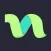 anynet VPN
