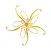 Plush Online Beauty Shopping