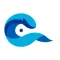 Coastal Observer