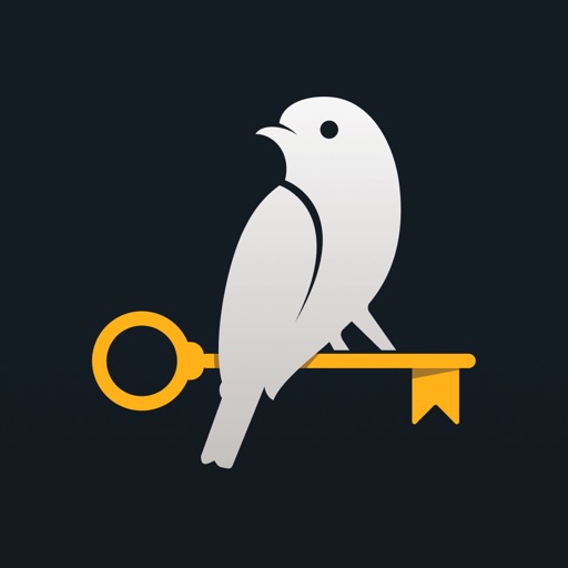 Solid Diary - AI Journal Solid Diary - AI Journal