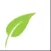 Suraksha Diagnostics