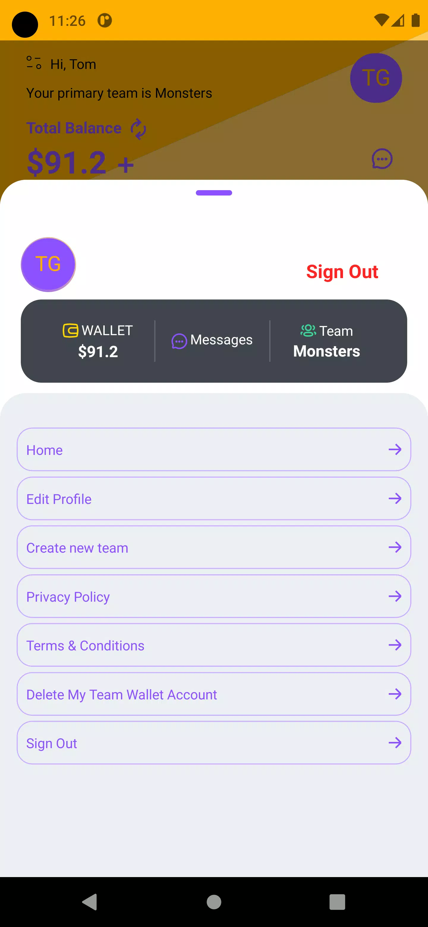 Team Wallet Screenshots