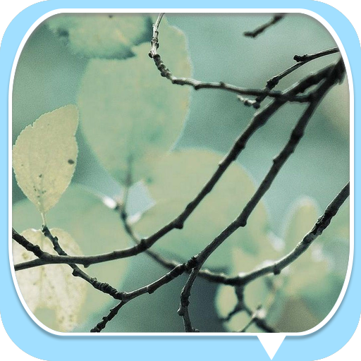 Faded Green Leaves