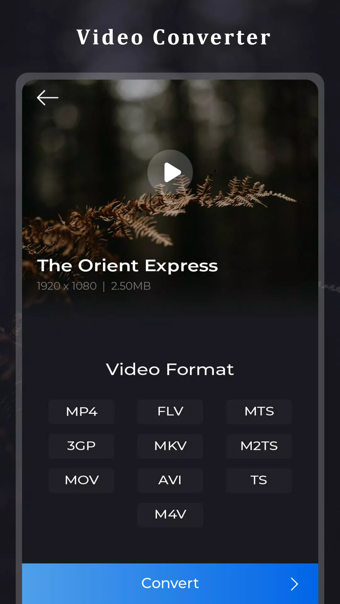Video Converter-ConverterBlack Screenshots
