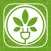 C4C: Cannabis, Weed & CBD