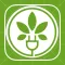 C4C: Cannabis, Weed & CBD