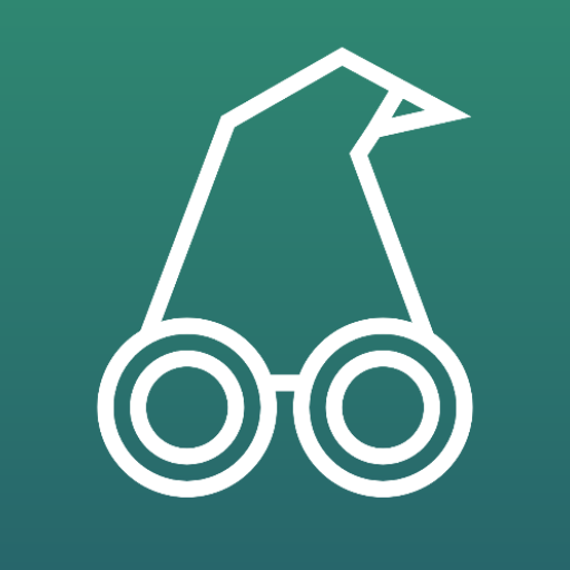 Iristick.Wizzeye BETA