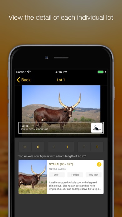 Stud Game Breeders Screenshots
