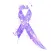 Chiari Bridges
