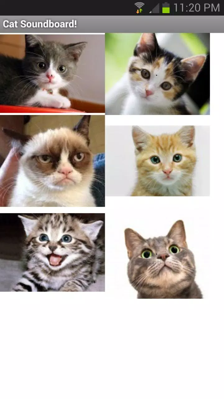 Cat and Kitten SoundBoard Screenshots
