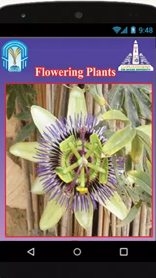 Floral diagrams Screenshots