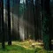 Nature Relaxing Sounds Set