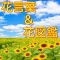花言葉&花図鑑