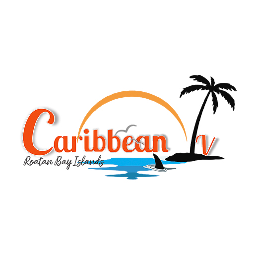 Caribbean TV
