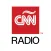 CNN Radio Argentina - AM 950