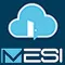 panel mesi