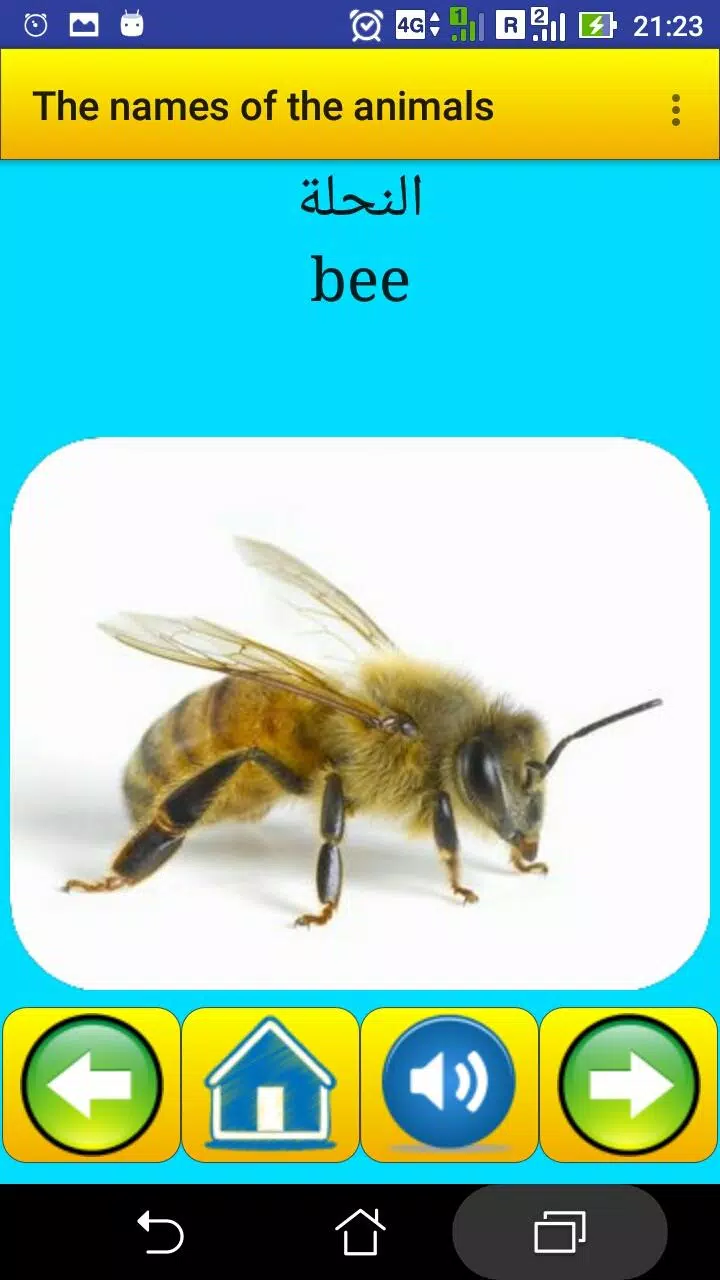 The names of the animals in Ar Screenshots