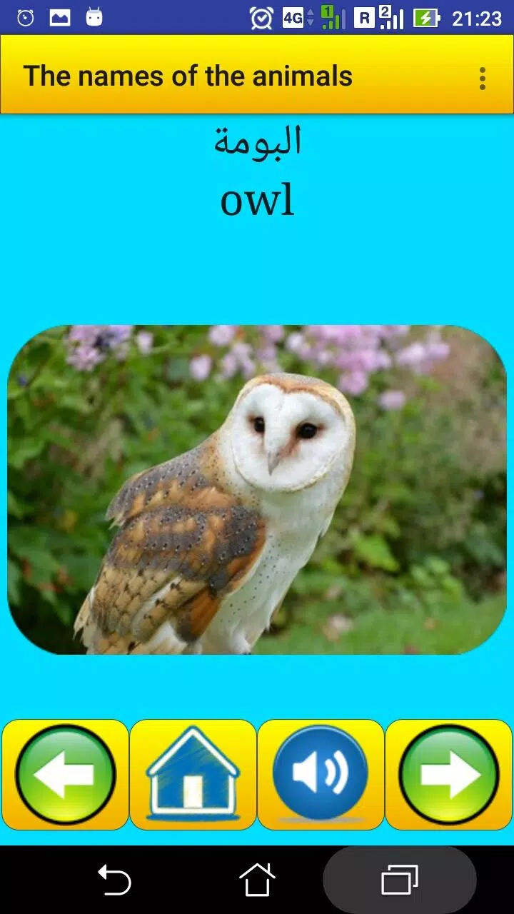 The names of the animals in Ar Screenshots
