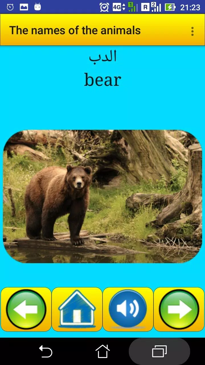 The names of the animals in Ar Screenshots