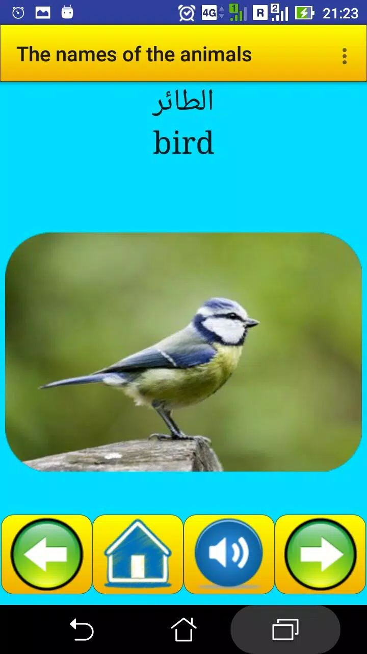 The names of the animals in Ar Screenshots