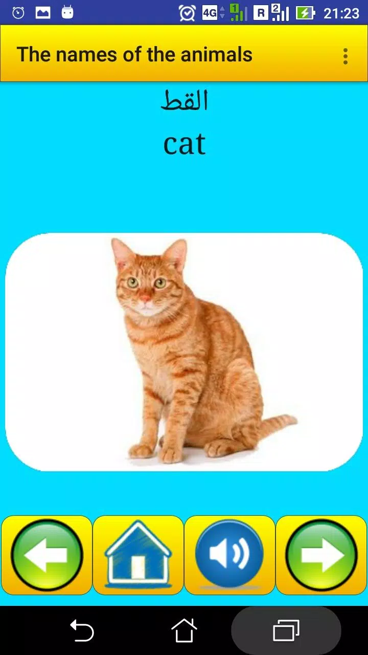 The names of the animals in Ar Screenshots