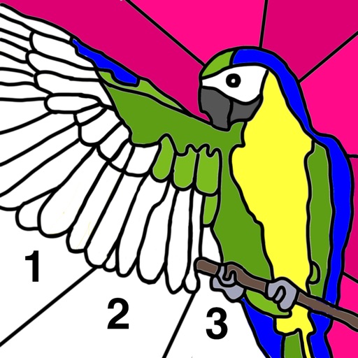 Mega Color - Paint by Number Mega Color - Paint by Number