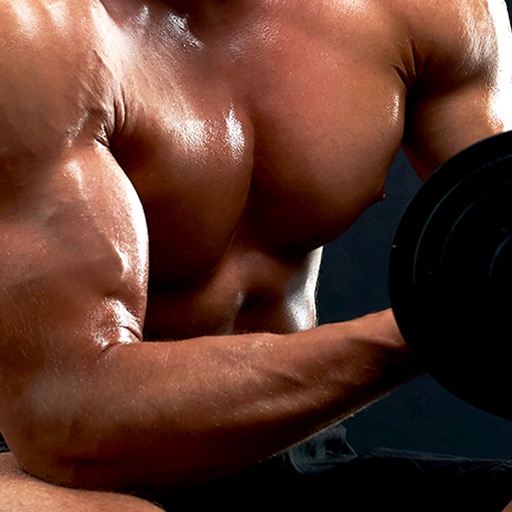 Arm Workouts Home Training Arm Workouts Home Training