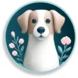 Dog Life: Pet Health Care