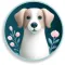Dog Life: Pet Health Care