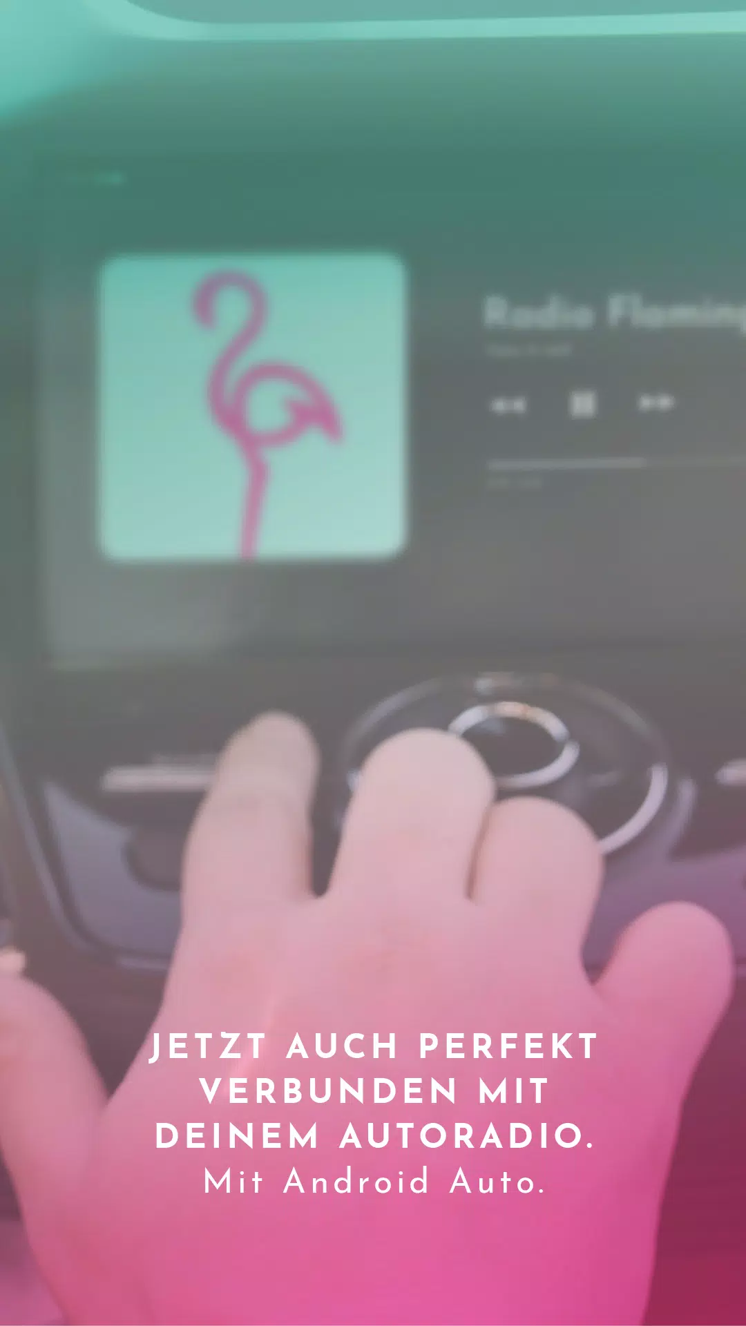 Radio Flamingo Screenshots