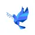 Peace Stickers