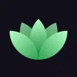 Tranquil Panic Attack Relief