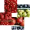 PicPuzzles Skillz Version