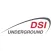 DSI Communicator