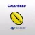 Calc-Seed