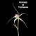 Orchids of Tasmania