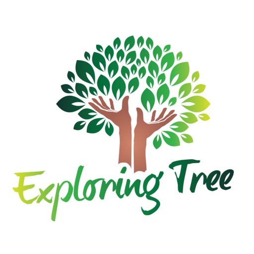Exploring Tree Exploring Tree