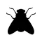 Animated Bugs